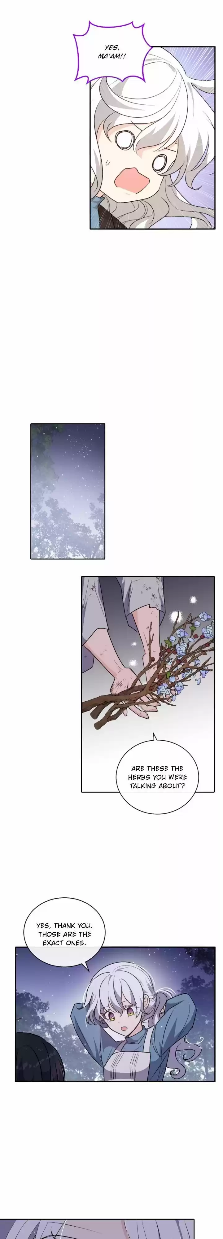 Absolute Witch Vol.12 Ch.084