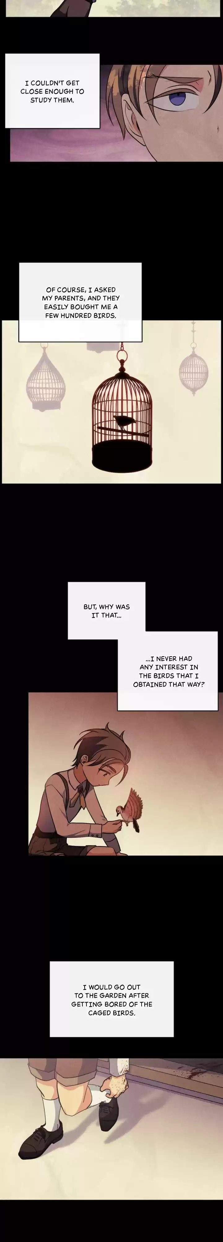 Absolute Witch Vol.12 Ch.091