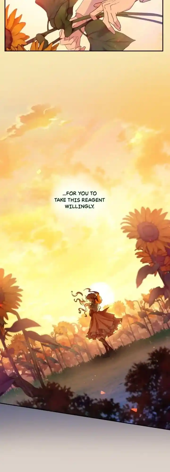 Absolute Witch Vol.12 Ch.131