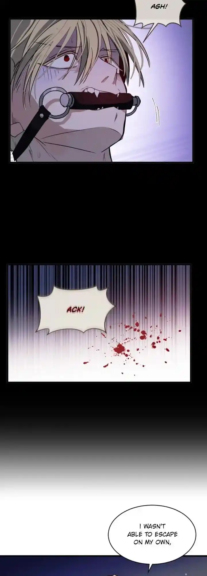 Absolute Witch Vol.12 Ch.132