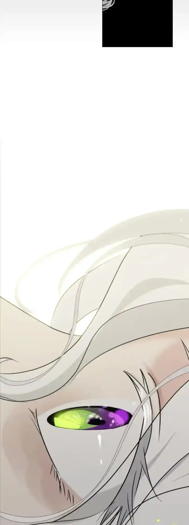 Absolute Witch Vol.12 Ch.132