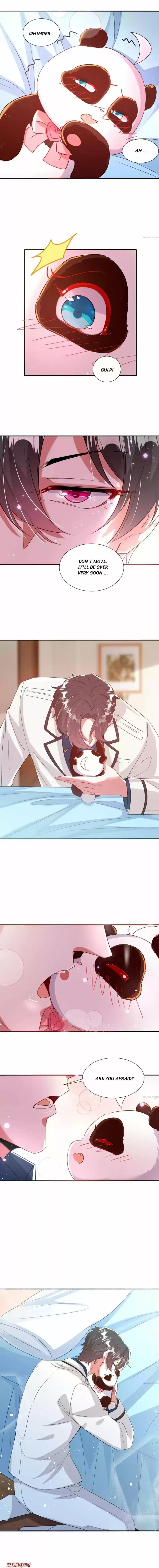 Adorable Princess Chapter 165