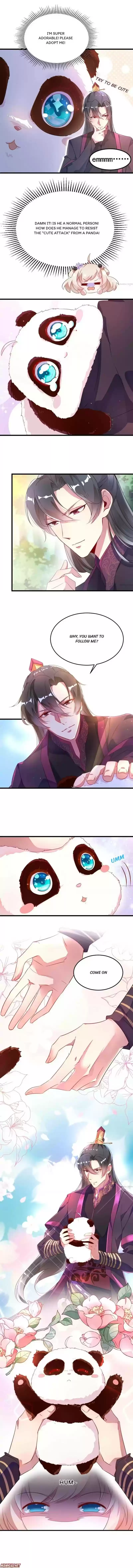 Adorable Princess Chapter 3