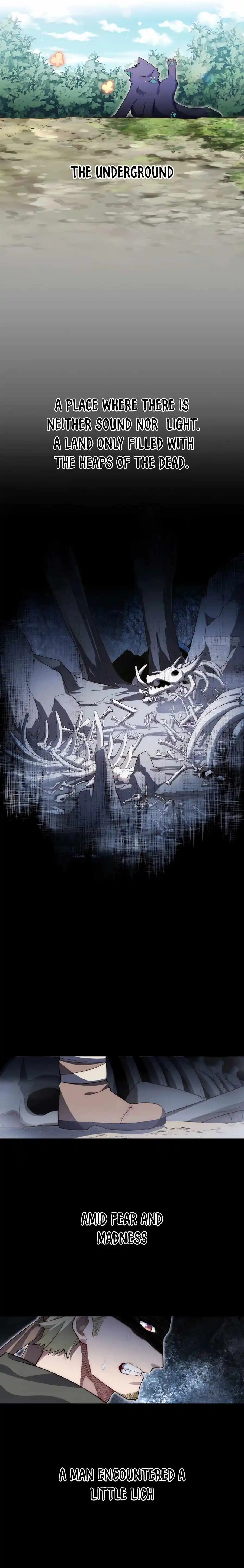 Adventures Of An Undead Who Became Paladin Chapter 69