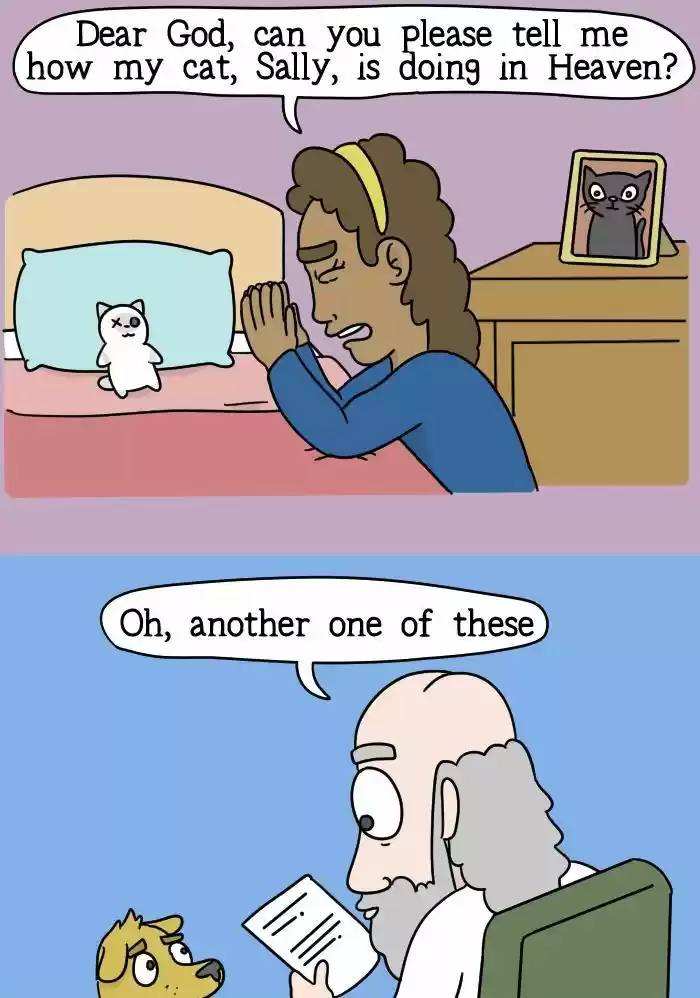 Adventures of God 41