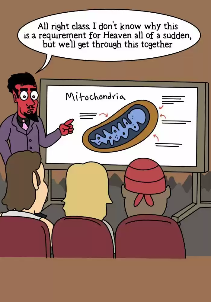 Adventures of God ch.342