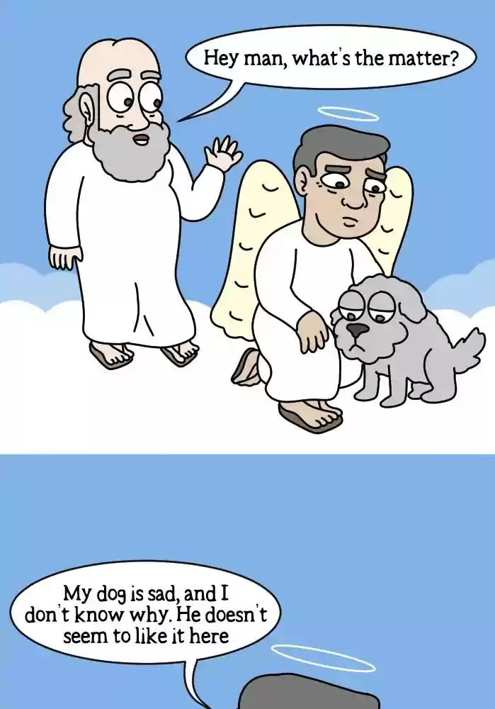 Adventures of God Chapter 244