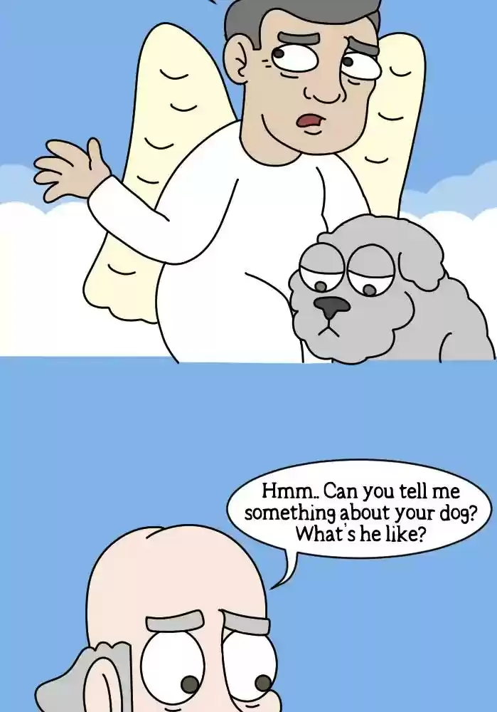 Adventures of God Chapter 244