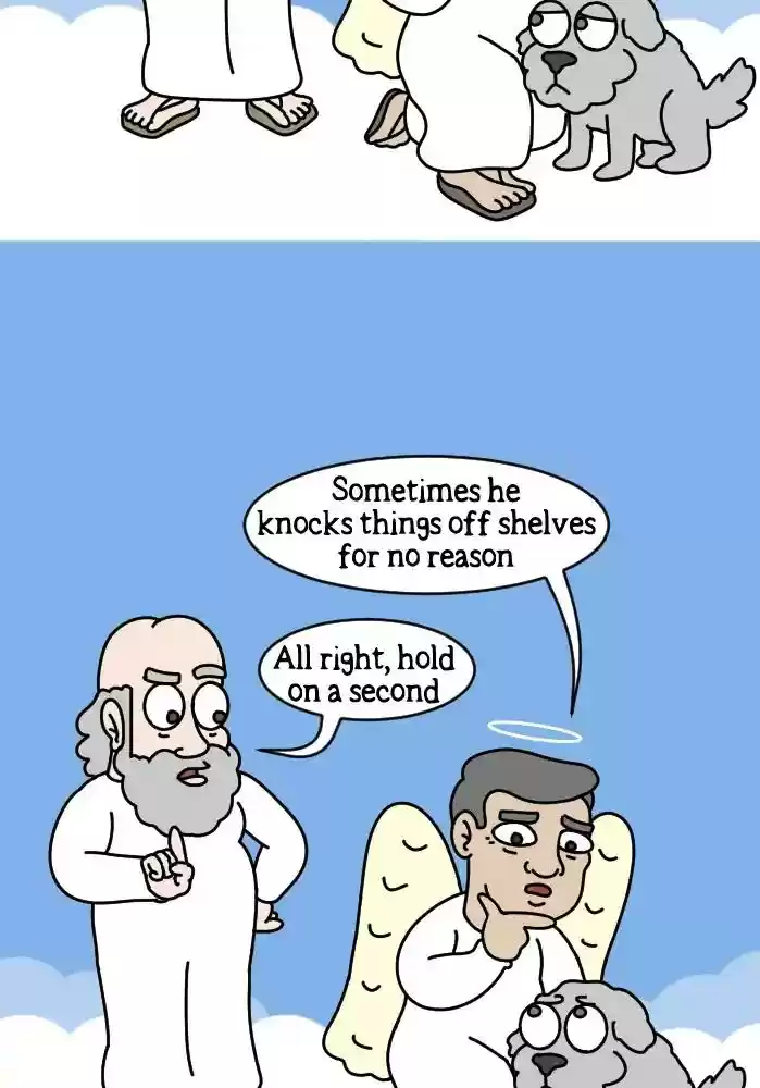 Adventures of God Chapter 244