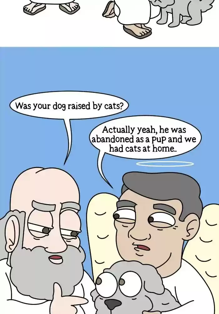 Adventures of God Chapter 244