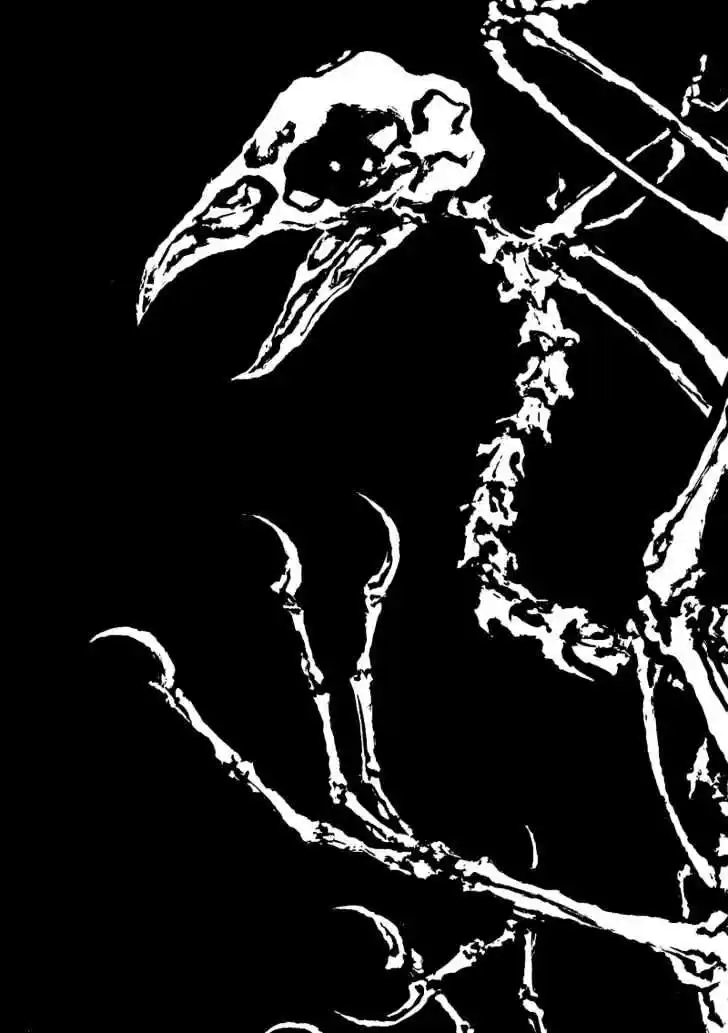 Ahh!! Bishamon High School Vol.17 Ch.174