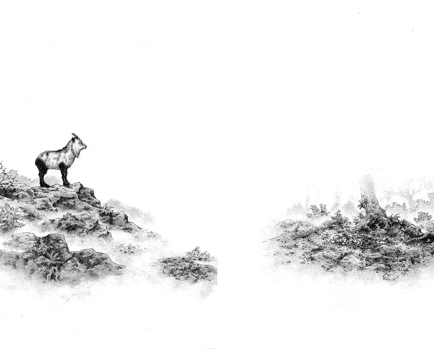 Ahh!! Bishamon High School Vol.19 Ch.333