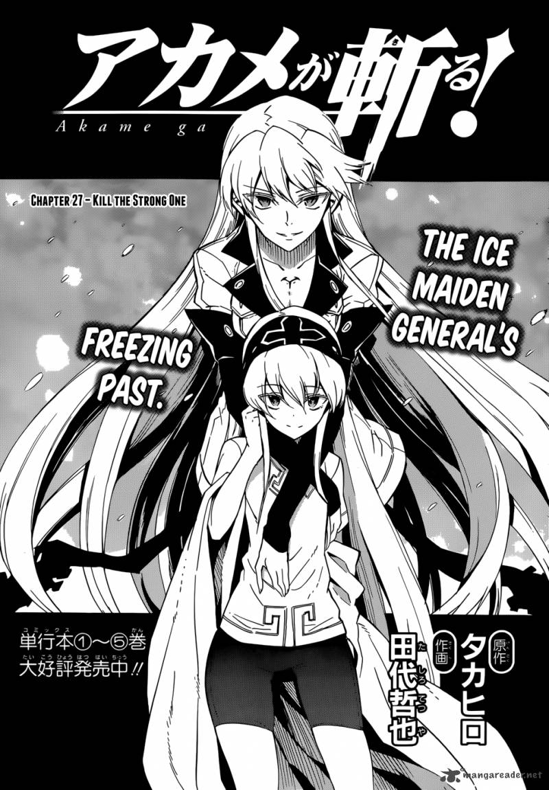 Akame ga Kiru! 27