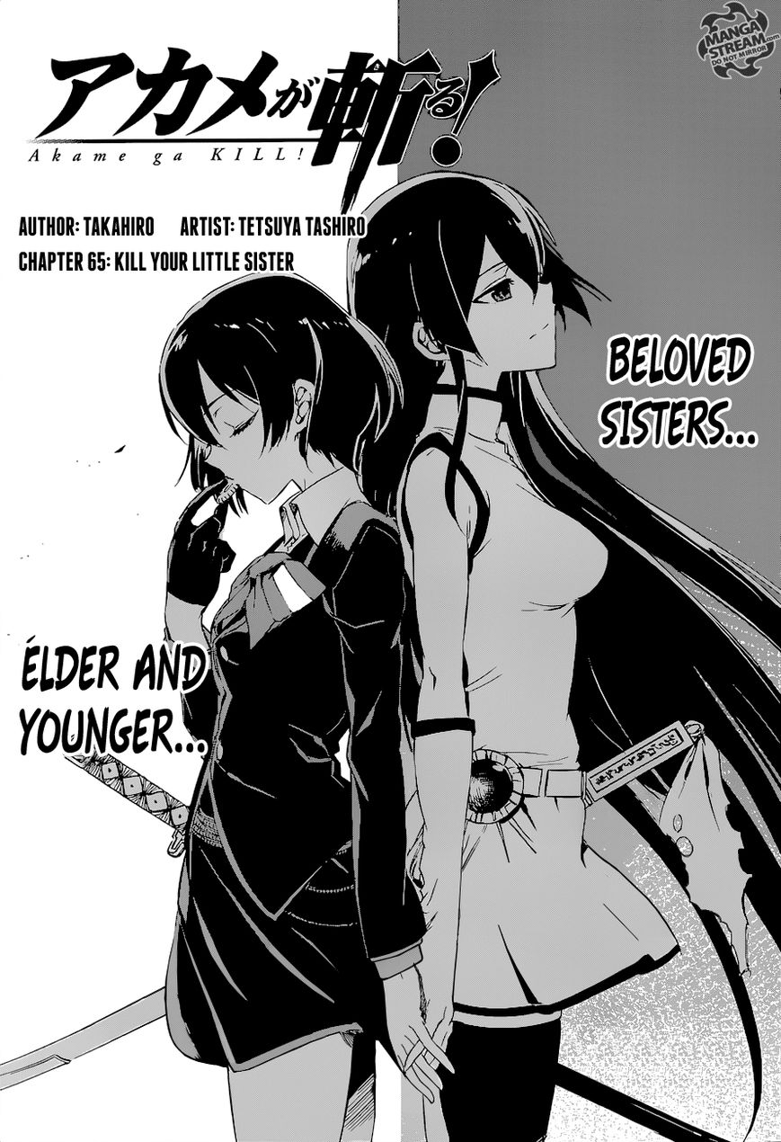 Akame ga Kiru! 65