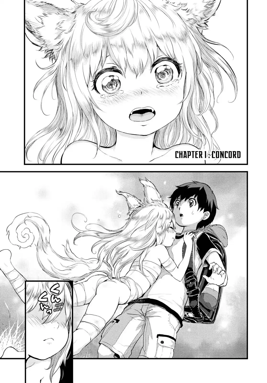 Alcafus Ch. 1 Concord