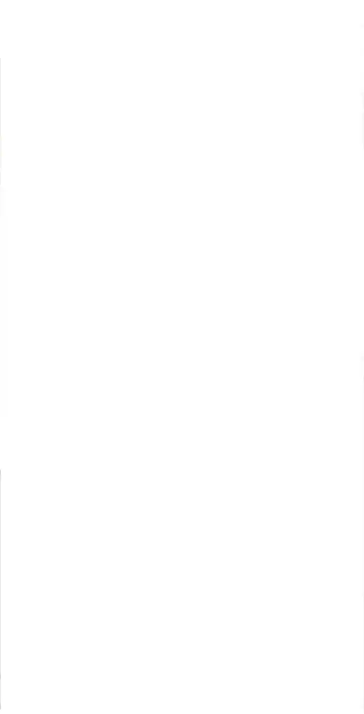 Alfheim no Kishi Vol.06 Ch.185