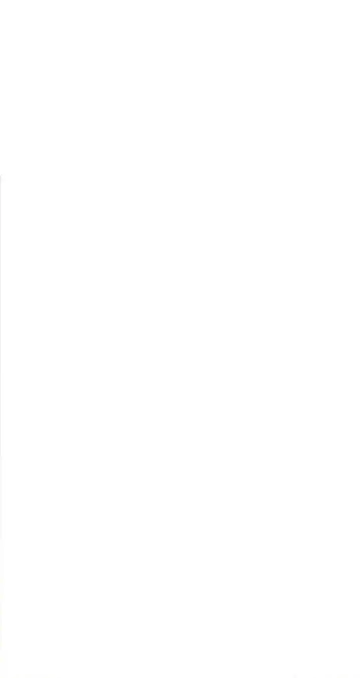 Alfheim no Kishi Vol.06 Ch.185