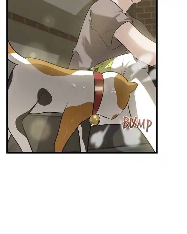 Alice Unlimited Wonderland Vol.01 Ch.049