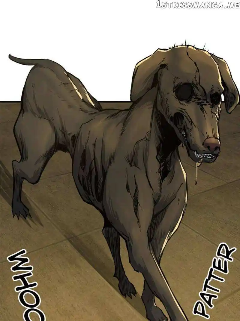 All Starts With Ubume Chapter 113