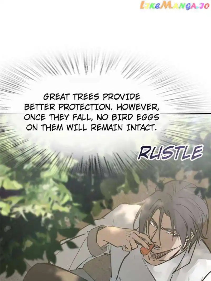 All Starts With Ubume Chapter 248