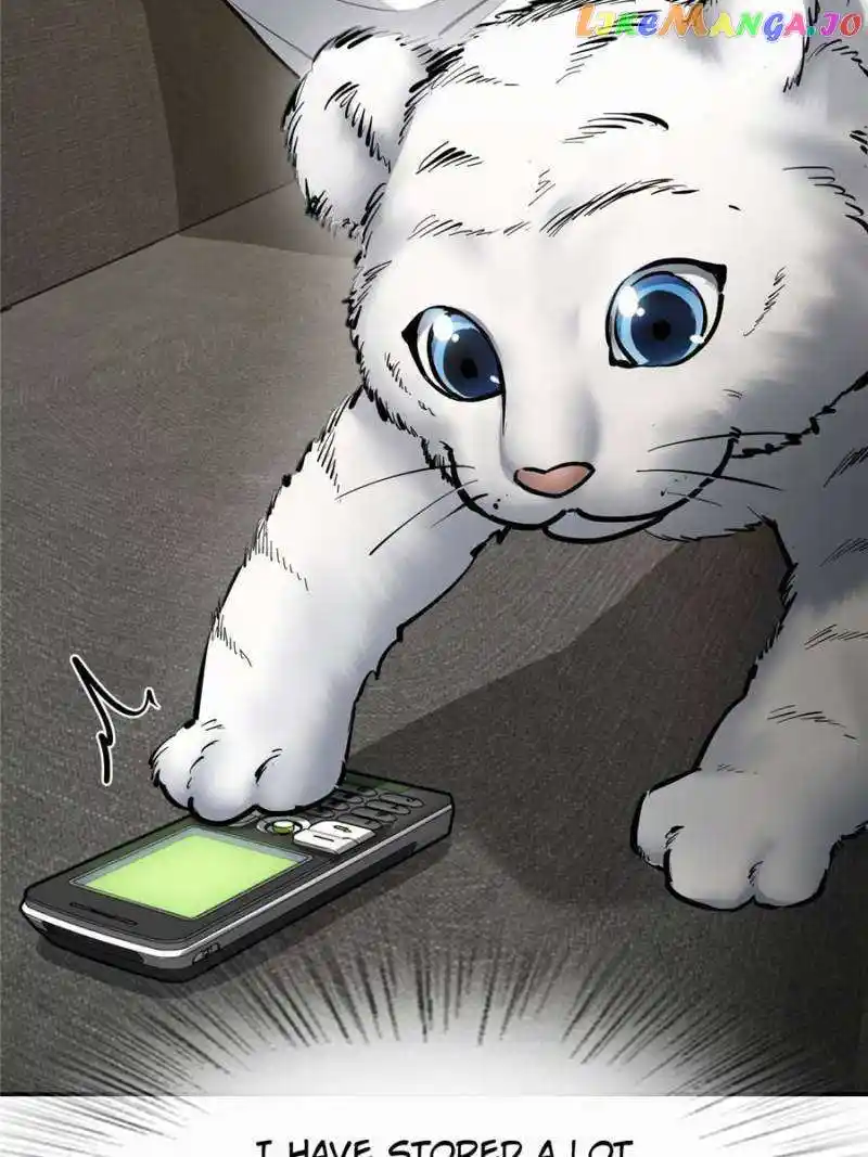 All Starts With Ubume Chapter 249