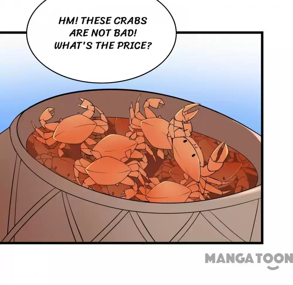 Almight Network Ch. 6