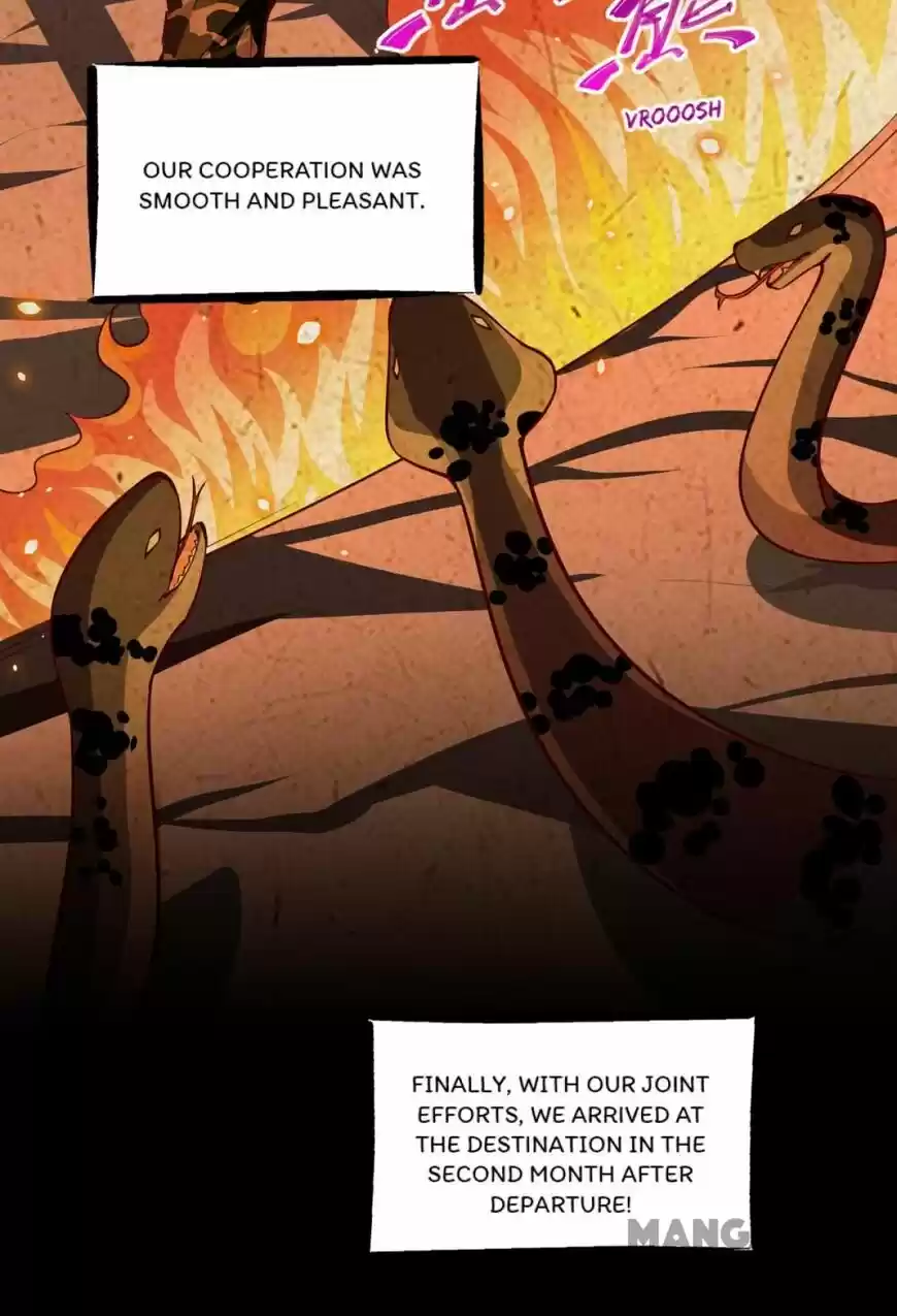 Almight Network ch.162