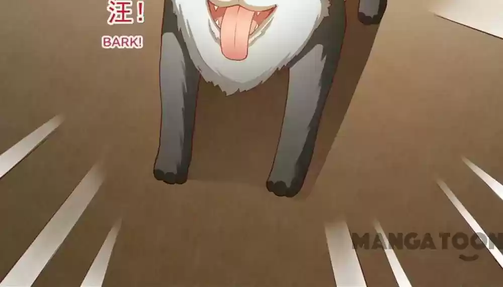 Almight Network Episode 68