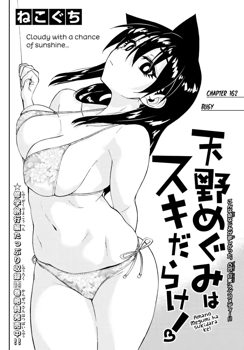 Amano Megumi wa Suki Darake! Ch. 162 Busy