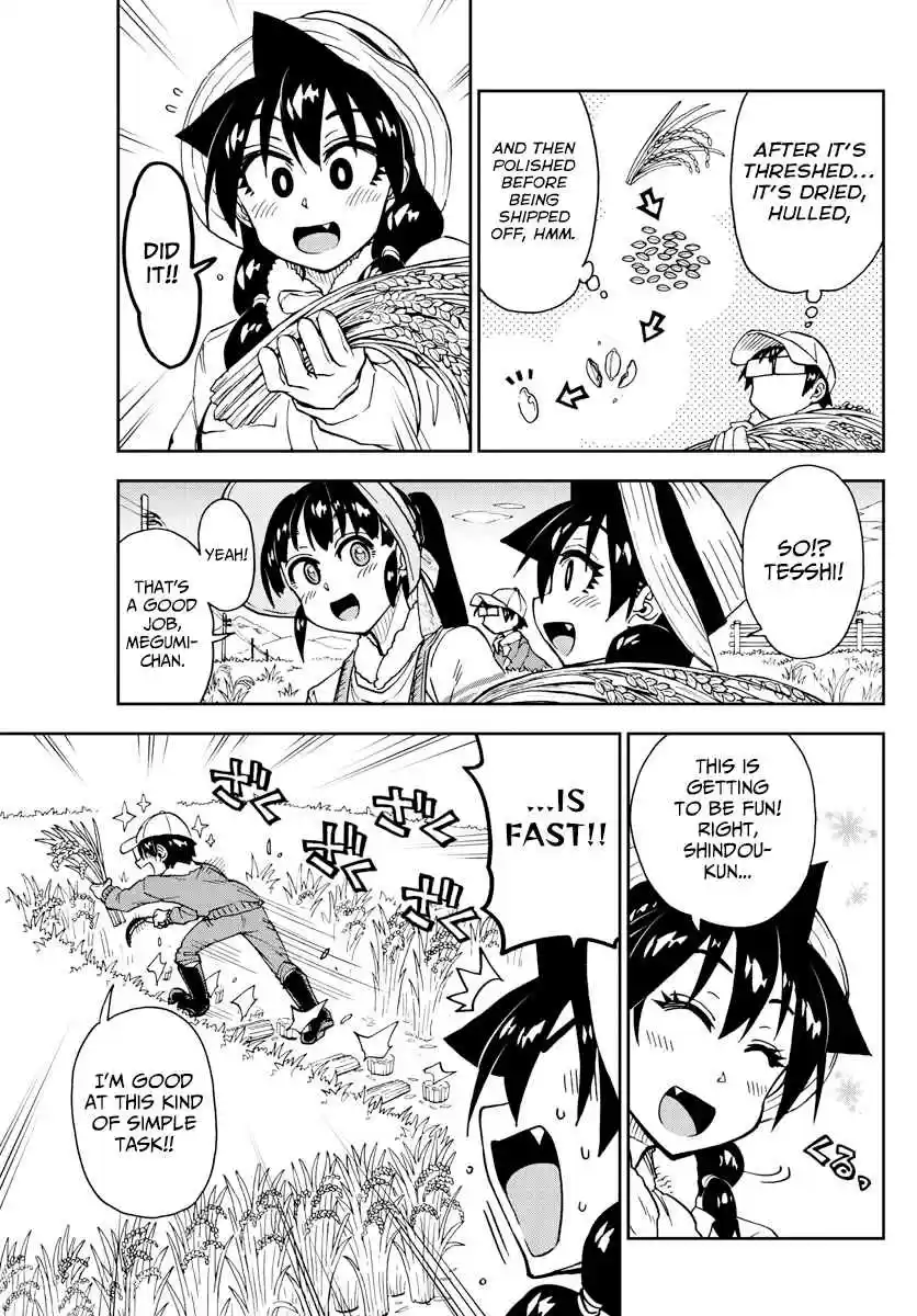 Amano Megumi wa Suki Darake! Ch. 165 Rice Harvesting