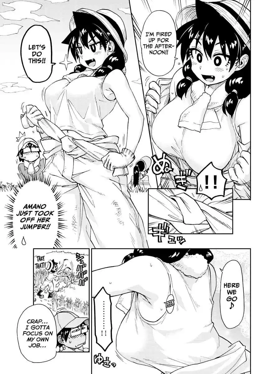 Amano Megumi wa Suki Darake! Ch. 165 Rice Harvesting