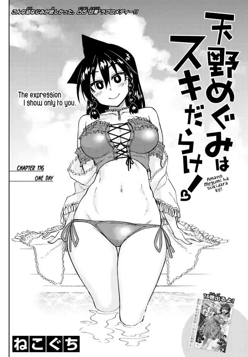 Amano Megumi wa Suki Darake! Ch. 176 One Day