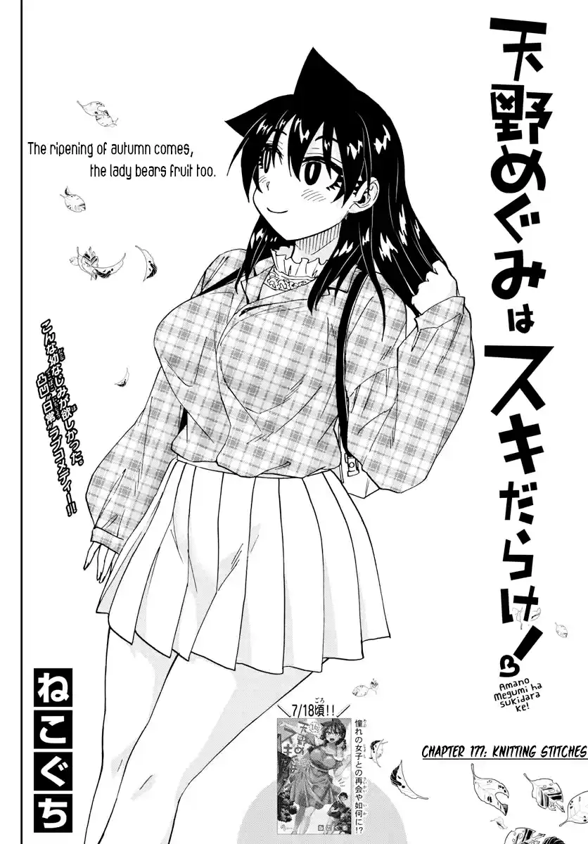 Amano Megumi wa Suki Darake! Ch. 177 Knitting Stitches