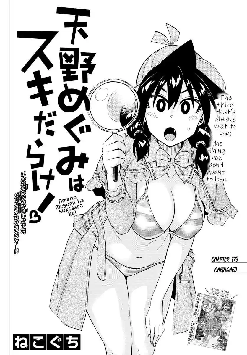 Amano Megumi wa Suki Darake! Ch. 179 Cherished