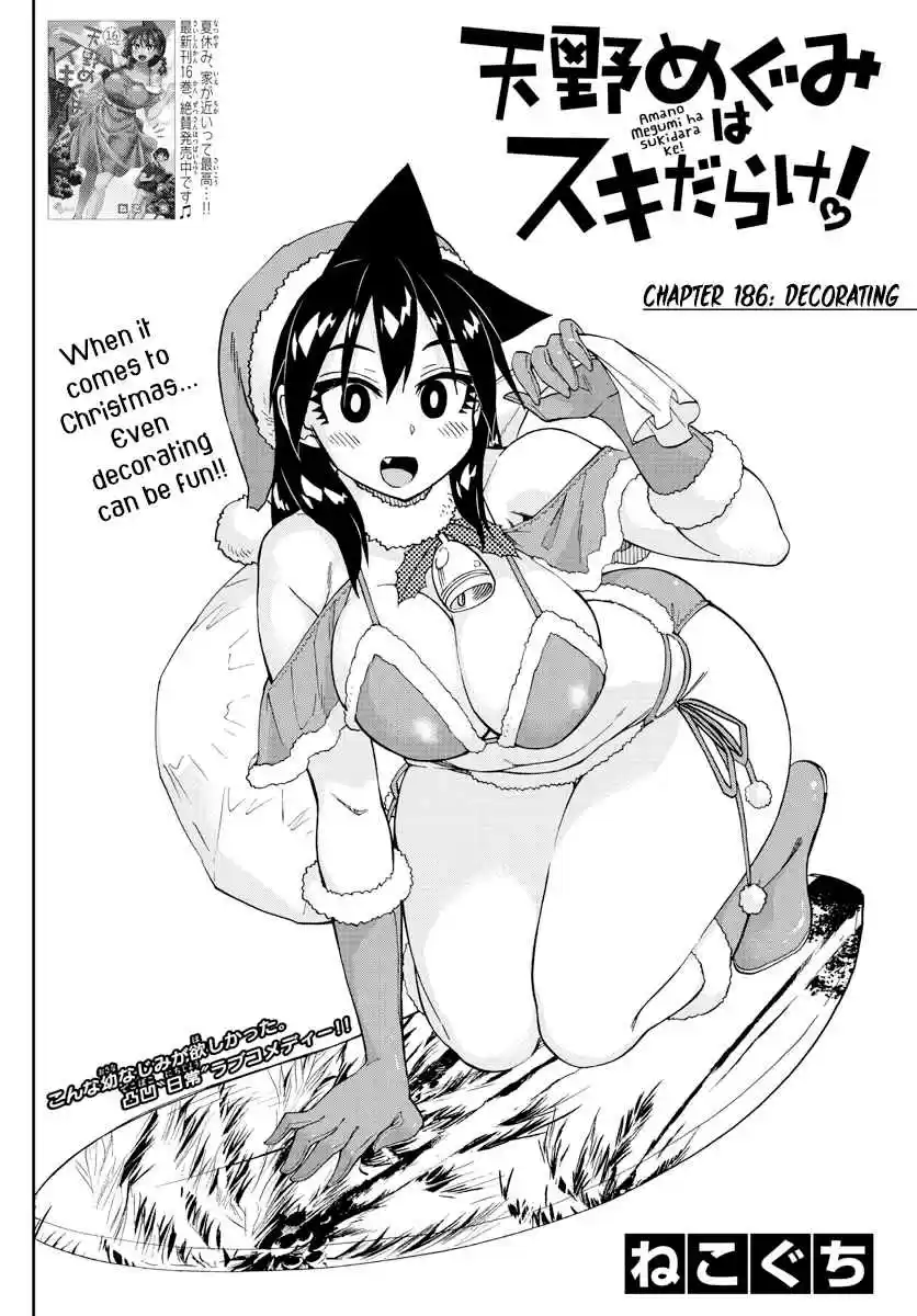 Amano Megumi wa Suki Darake! Ch. 186 Decorating