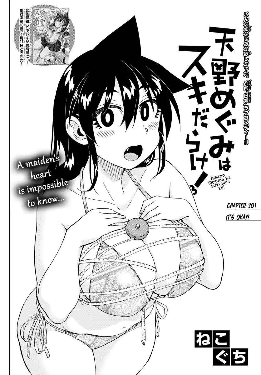 Amano Megumi wa Suki Darake! Ch. 201 It's Okay!