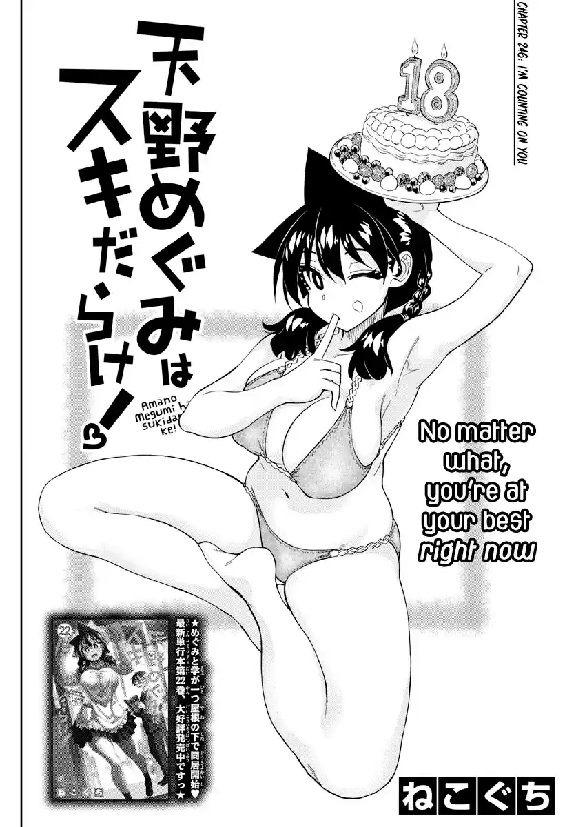 Amano Megumi wa Suki Darake! Ch. 246 I'm Counting On You