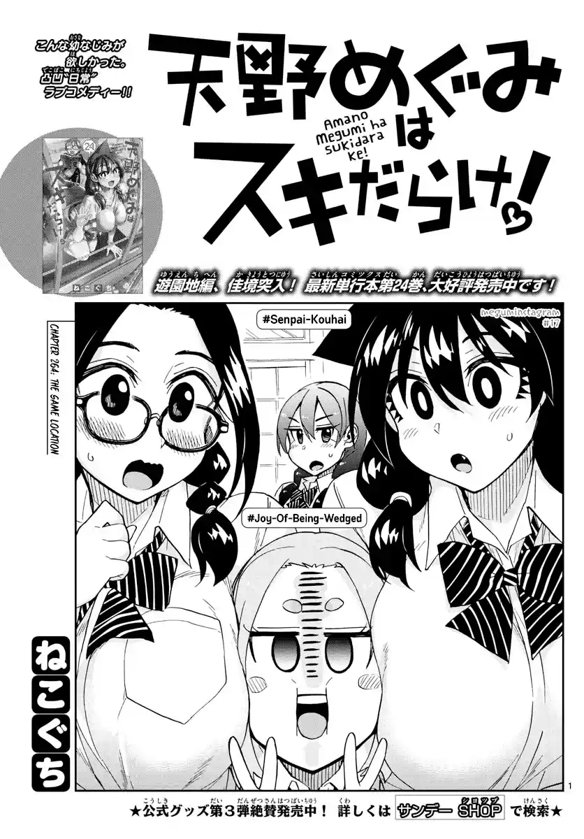 Amano Megumi Wa Suki Darake! Chapter 264