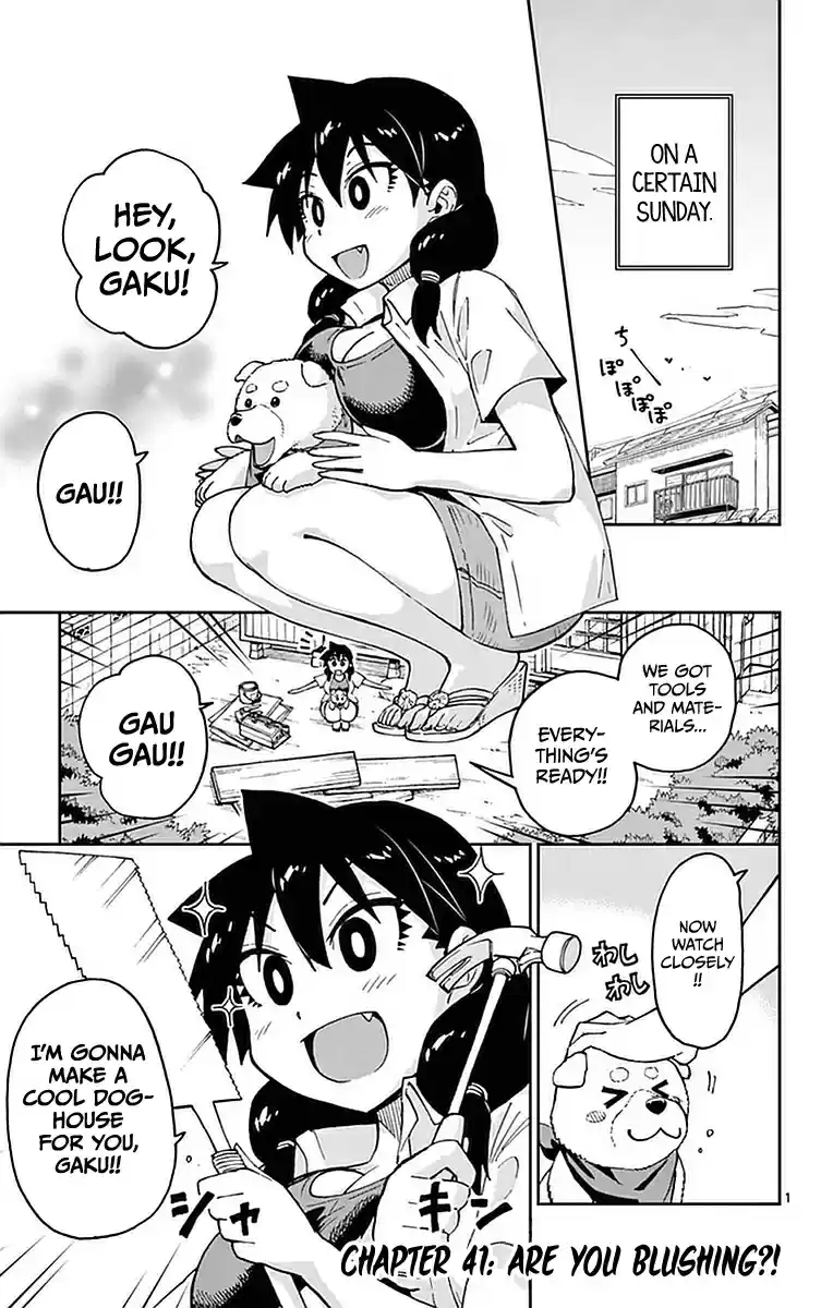 Amano Megumi wa Suki Darake! Vol.5 Ch.41