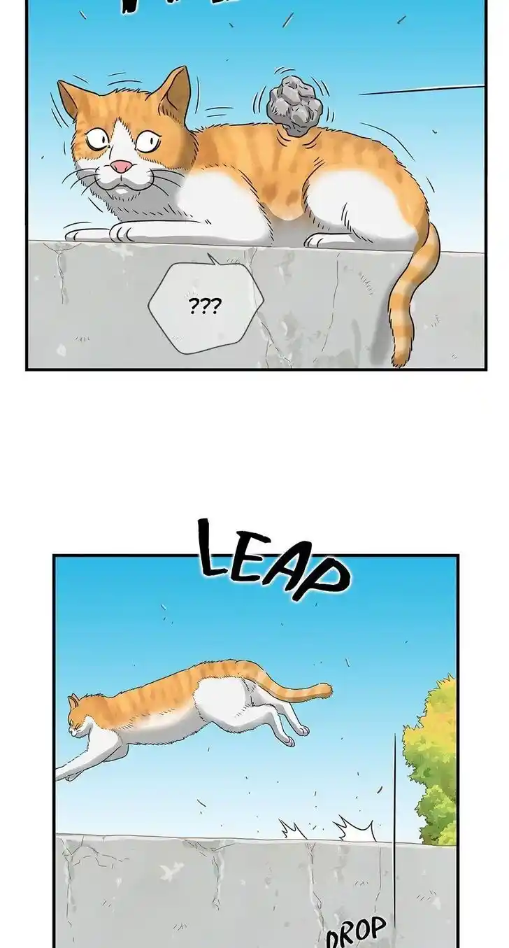 Amazing Rumor Ch.065