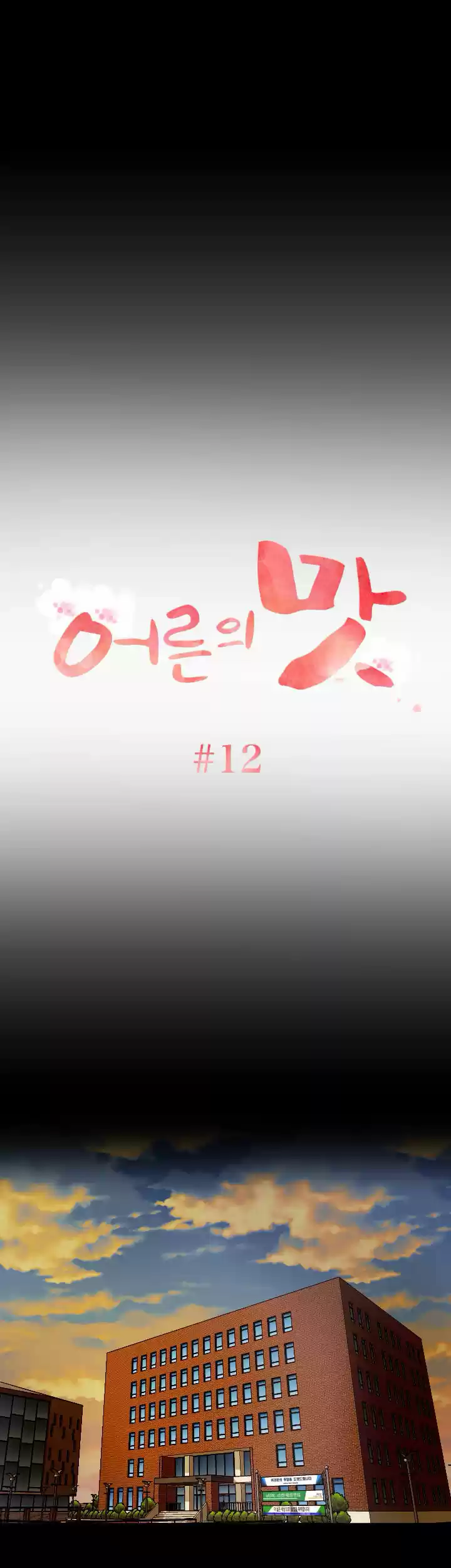 An Adult's Experiences 12