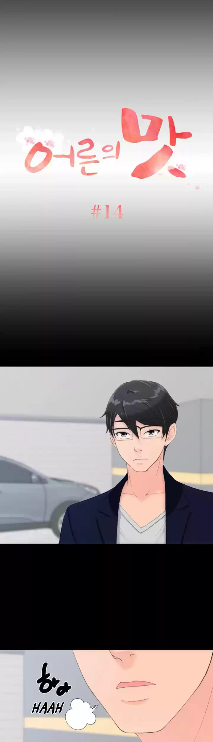 An Adult's Experiences 14