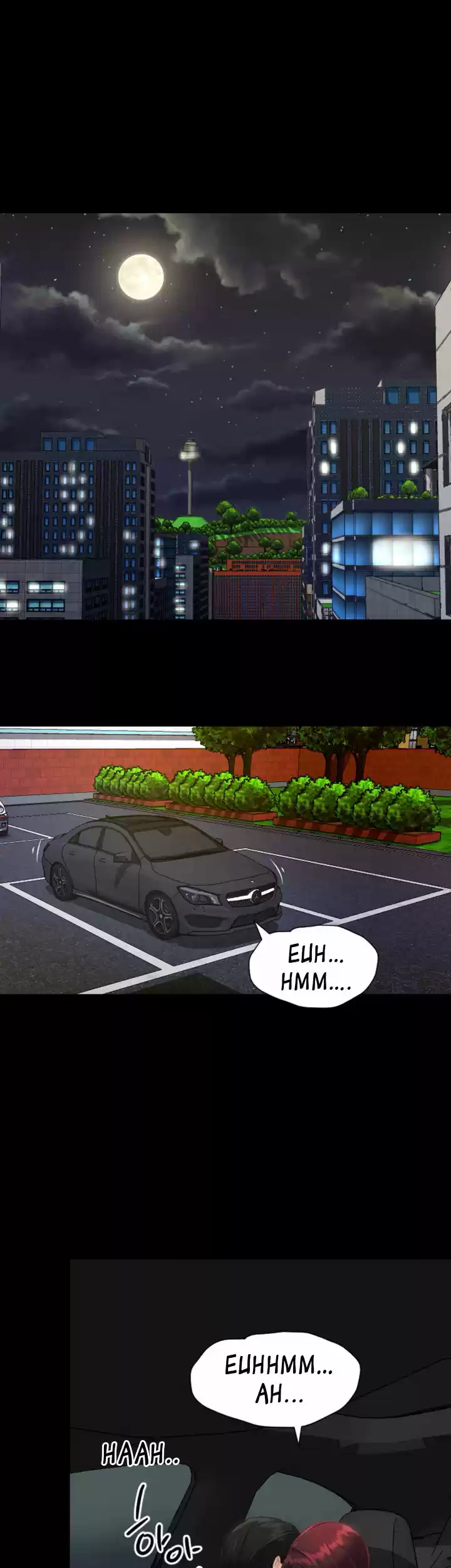 An Adult's Experiences 14