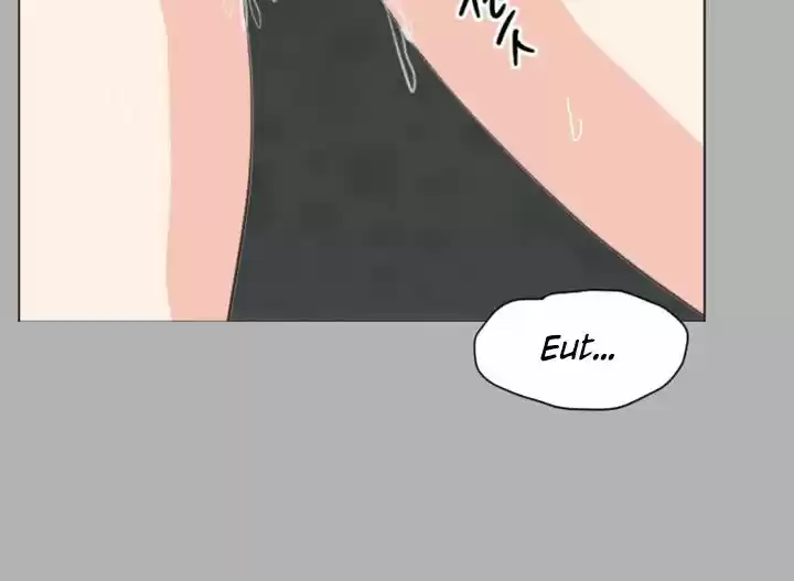 An Adult's Experiences 19