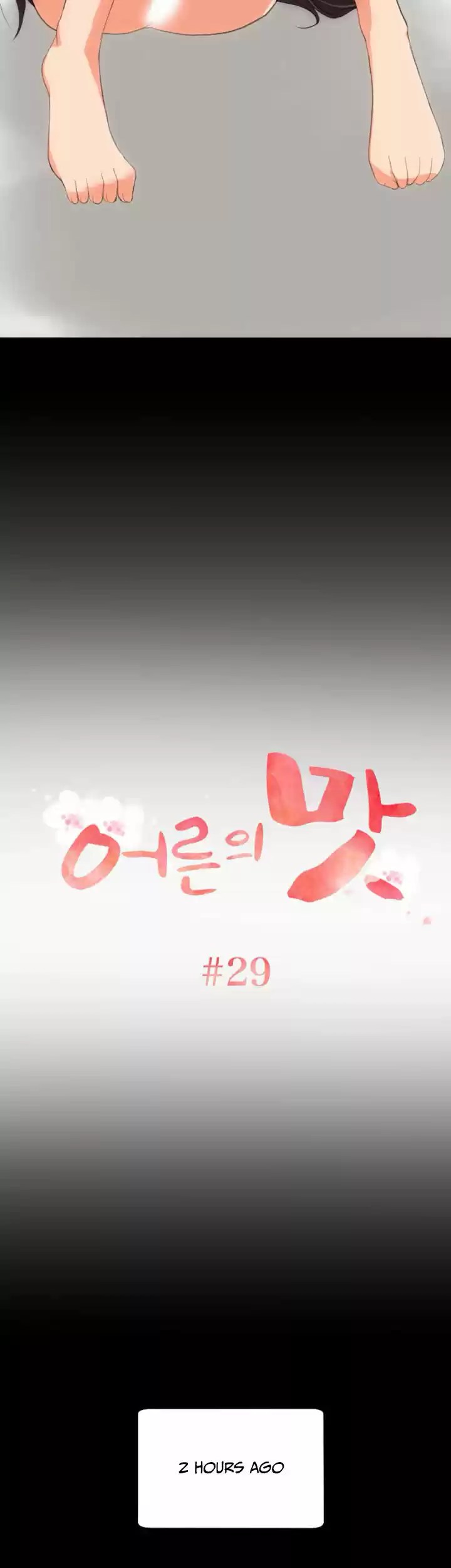 An Adult's Experiences 29