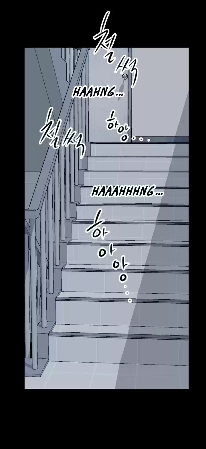 An Adult's Experiences 5