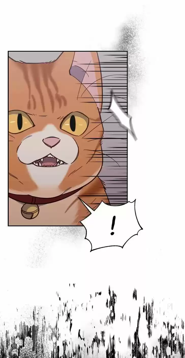 An Animal Hospital in the Border Area Ch.035