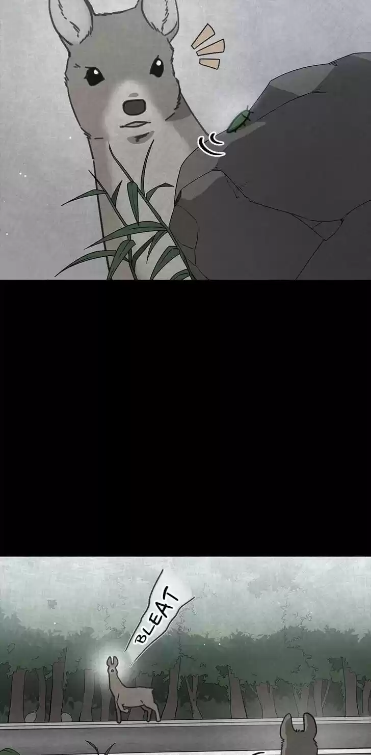 An Animal Hospital in the Border Area Ch.036