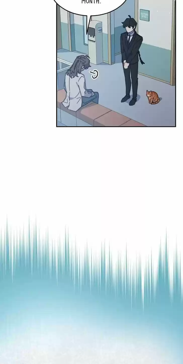 An Animal Hospital in the Border Area Ch.037