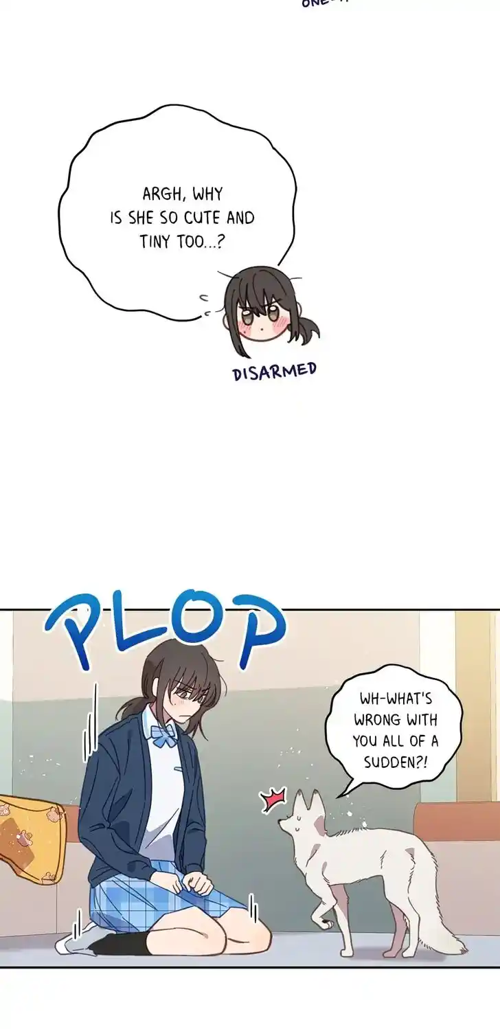 An Animal Hospital in the Border Area Ch.061